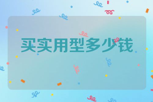 买实用型多少钱