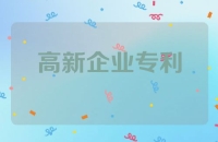 高新企业专利的意义和分类
