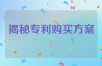 揭秘专利购买方案：1万元变1000万元真能省税吗？