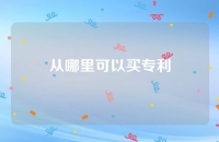 从哪里可以买专利